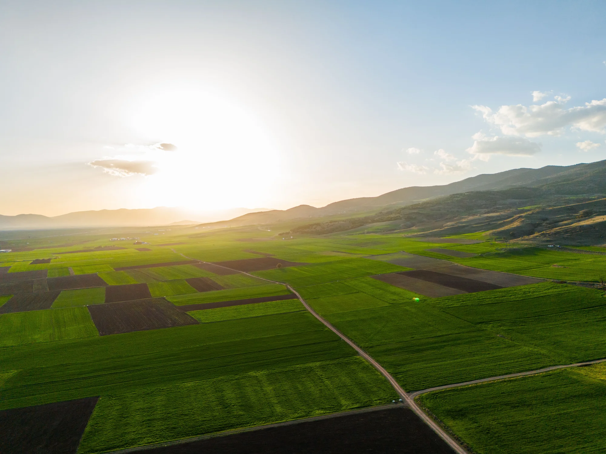 Green farmland in the evening sunlight