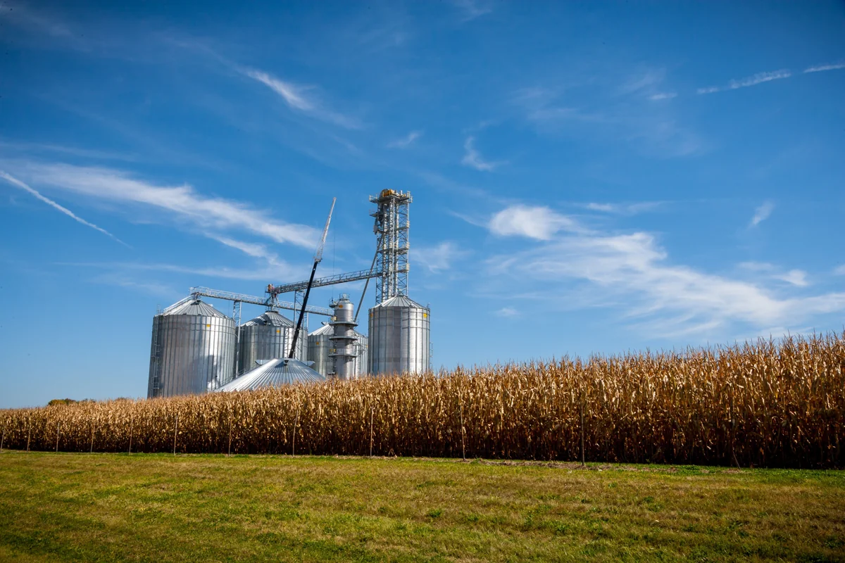 Grain silos beside a field — illustrative stock photograph